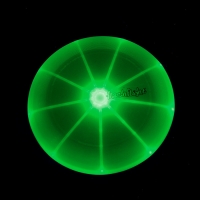Flashflight LED-Disc 185g - gr�n