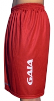 GAIA Kollektion `Deutschland´ - Frauen Shorts, rot