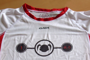 Sublimation Sample 2a