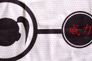 Sublimation Sample 2b