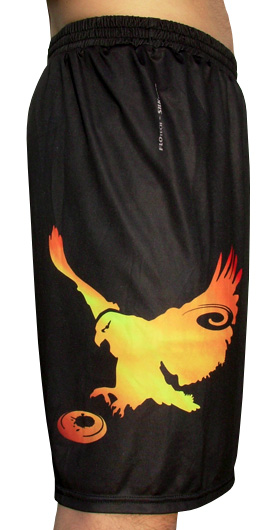 Team Deutschland Shorts - black (Side)